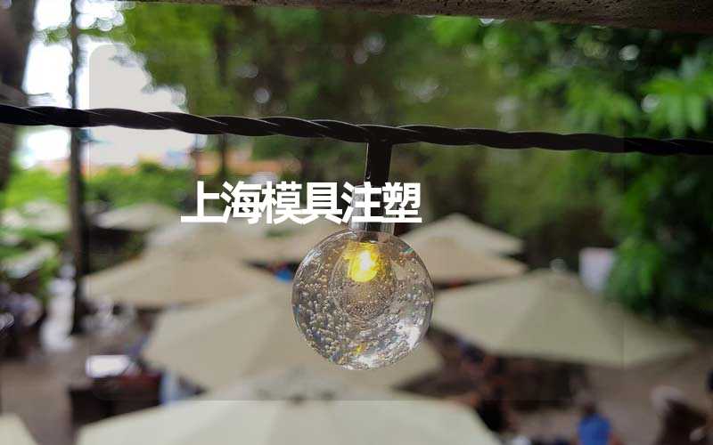 上海模具注塑 
